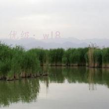 ״