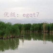 Ŀ