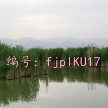Ŀ