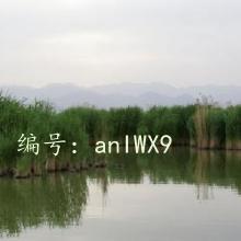 ʼ