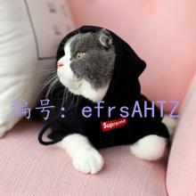 ȷ